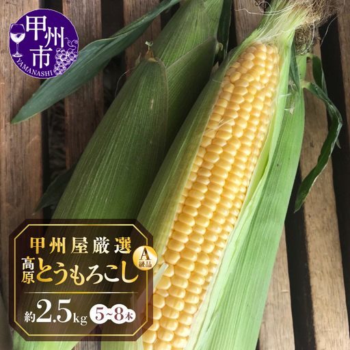 甲州屋厳選 高原とうもろこし A級品 約2.5kg(5〜8本)[2026年発送]B-141