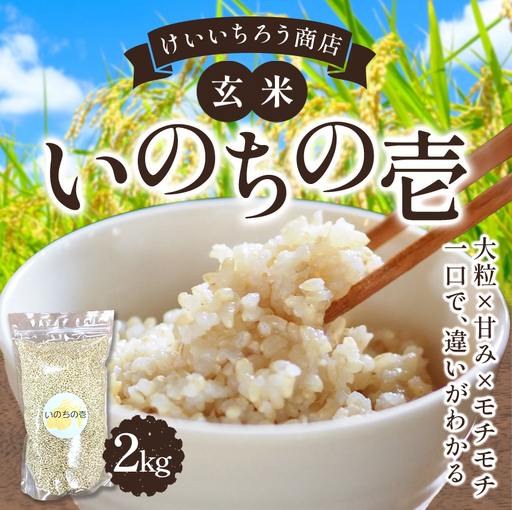 玄米 令和8年産 いのちの壱 2kg 結城市産 けいいちろう商店