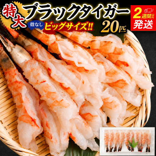 特大 ブラックタイガー 殻なし ビッグサイズ （20匹） 【入金確認後14営業日以内に発送】