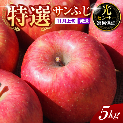 【2026年11月上旬発送】【特選】りんご 約5kg サンふじ 青森 五所川原