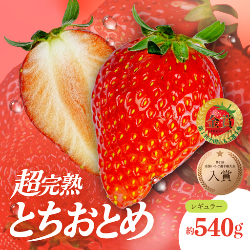 いちご[2月発送]とちおとめ レギュラー 計540g |イチゴ 栃木県 茂木町