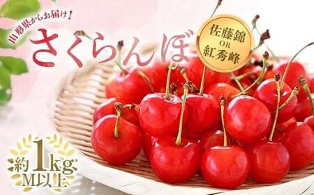 [令和9年産先行予約] さくらんぼ 「佐藤錦または紅秀峰」 約1kg (秀 M以上) バラ詰め [令和9年6月中旬〜発送] 『南陽中央青果市場』 サクランボ 果物 フルーツ 山形県 南陽市 [2582]
