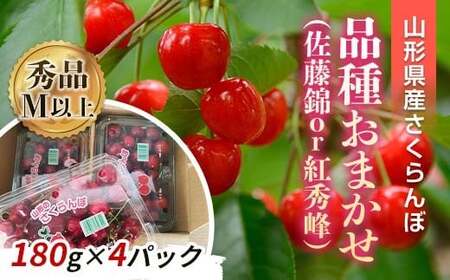 【令和9年産先行予約】 さくらんぼ 「佐藤錦または紅秀峰」 720g (180g×4パック 秀 M以上) 《令和9年6月中旬～発送》 『南陽中央青果市場』 小分け フードパック サクランボ 果物 フルーツ 山形県 南陽市 [2583]