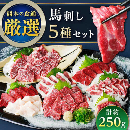 令和8年熊本地震復興支援 馬刺し 5種 約250g 馬刺し食べ比べ[AYAT022]