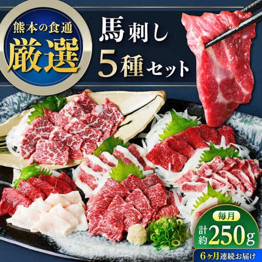 【全6回定期便】馬刺し 5種 盛り合わせセット 5人前 約250g 馬刺し[AYAT024]