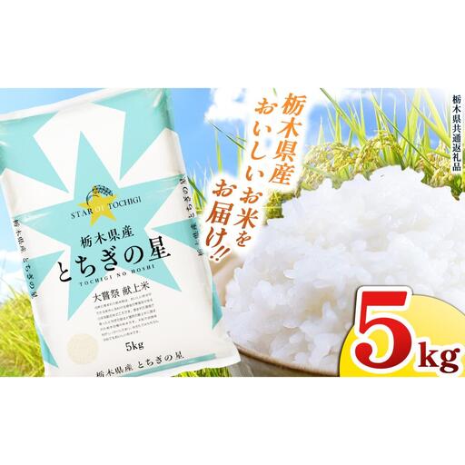 栃木県産 お米 とちぎの星 ５kg |  栃木県 矢板市 【栃木県共通返礼品】