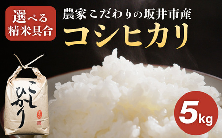 令和8年産 坂井市産 コシヒカリ 5kg [玄米]2026年10月上旬以降順次発送 米 コメ お米 福井こしひかり [A-10216_02]