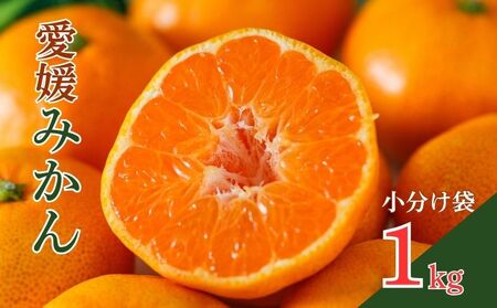 [先行予約][発送期間:2026年10月〜なくなり次第終了]愛媛みかん 約1kg みかん