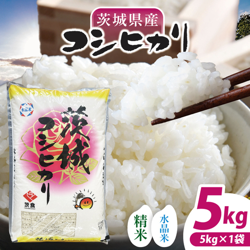 【数量限定】【令和7年産】茨城県産コシヒカリ 5kg (NQ-1)