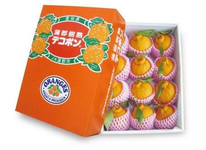 【期間限定】≪2027年4月お届け≫蒲郡樹熟デコポン 約３ｋｇ_【G0004】