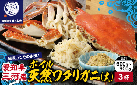 【愛知県三河産】ボイル天然ワタリガニ 大　3杯_【G0654】