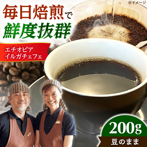 【スピード発送】エチオピア・イルガチェフェ  200g 豆のまま コーヒー 珈琲 豆 粉 コーヒー豆 コーヒー粉 ドリップ ギフト 大阪府高槻市/自家焙煎コーヒー マウンテン[AOEL013-01]