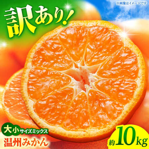 【先行予約】 温州みかん 訳あり サイズミックス 3S-3L 約10kg みかん 蜜柑 サイズ 不選別 家庭用 柑橘 フルーツ 果物 【日本フルーツ株式会社】[ZFJ051]