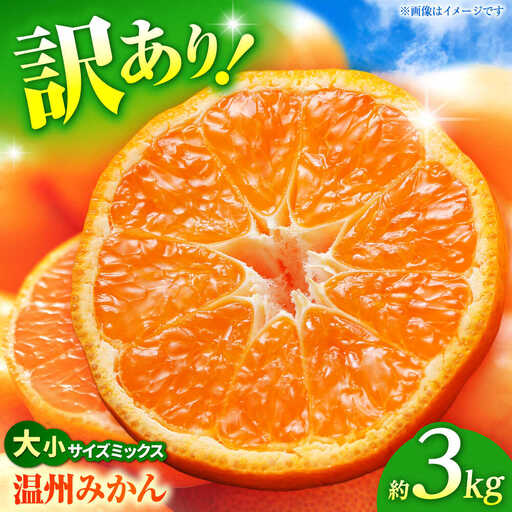 【先行予約】 温州みかん 訳あり サイズミックス 3S-3L 約3kg みかん 蜜柑 サイズ 不選別 家庭用 柑橘 フルーツ 果物 【日本フルーツ株式会社】[ZFJ049]