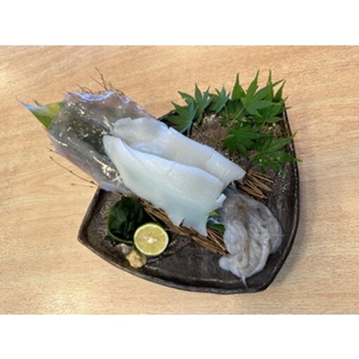 京都・久美浜産 アオリイカの姿造り｜イカ