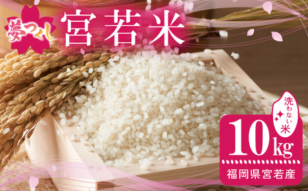 令和7年産 夢つくし 無洗米 10kg [M896-4] ごはん コメ ご飯 精米 白米 ブランド米