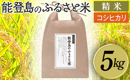 能登島のふるさと米 コシヒカリ5kg 精米 | こめ 国産 訳あり 生活応援価格 ご家庭用 石川県 七尾市 14日以内に発送 ※9月以降発送分については令和8年産をお送りします。