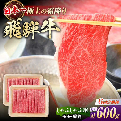【6回定期便】飛騨牛 牛しゃぶ用赤身 600g / 浅井商店[AWBJ019] 飛騨牛