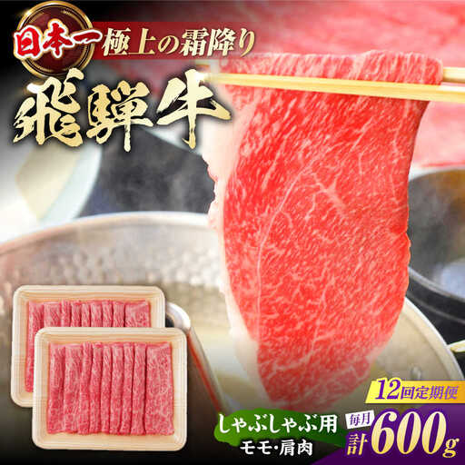 【12回定期便】飛騨牛 牛しゃぶ用赤身 600g / 浅井商店[AWBJ020] 飛騨牛