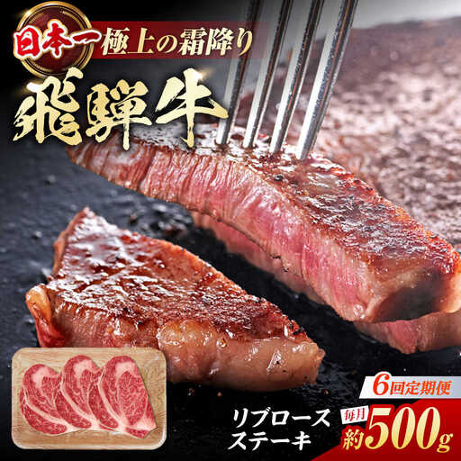 【6回定期便】飛騨牛 ステーキ用計500g / 浅井商店[AWBJ031] 飛騨牛