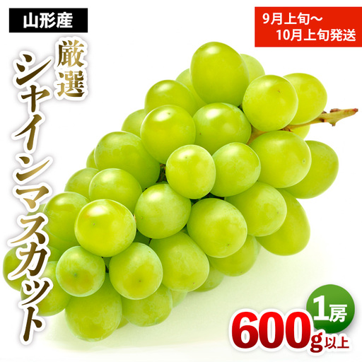 厳選シャインマスカット 秀品 600g以上 1房入 1箱 [前半] [令和8年産先行予約]FS25-678 くだもの 果物 フルーツ 山形 山形県 山形市 2026年産