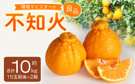 環境マイスターの不知火 良品 10kg （栽培期間中は無肥料・低農薬） 果物 くだもの フルーツ 不知火 しらぬい 柑橘 みかん 【2027年2月上旬-4月下旬迄順次発送予定】