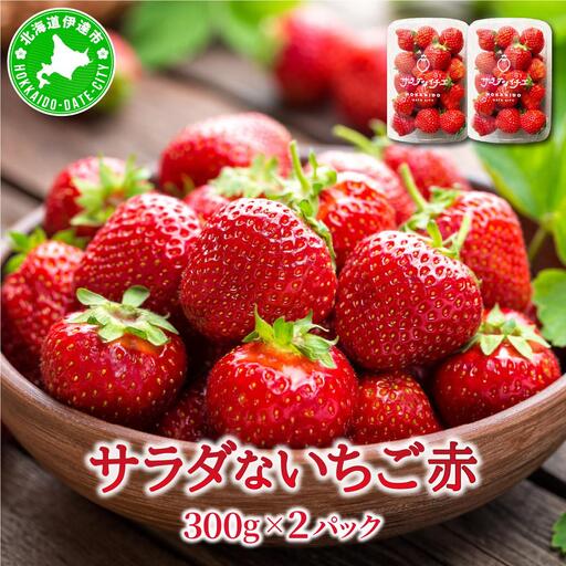 [2026年先行予約] サラダないちご(赤)ご褒美 苺 最旬 贈答 ギフト プレゼント 果物 フルーツ イチゴ 北海道 伊達[ecg-002]