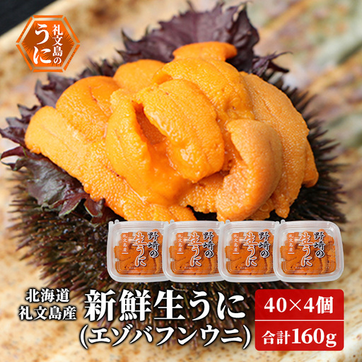 礼文産 新鮮生うに エゾバフンウニ 40g×4 うに