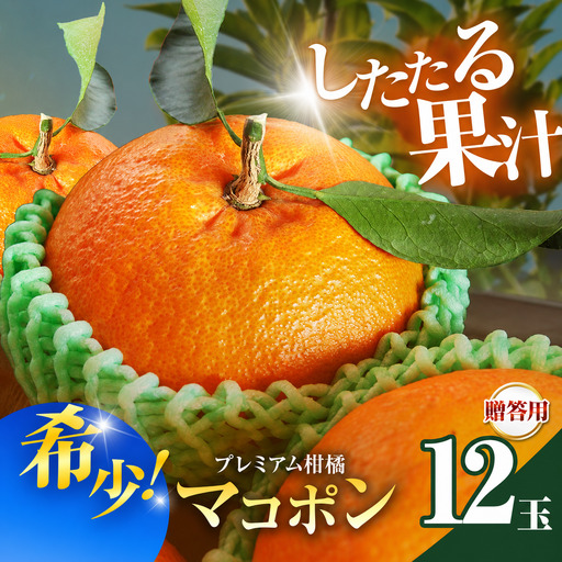 【先行予約】紅モンスター マコポン玉 贈答用 12玉 | フルーツ 果物 くだもの 果実 柑橘 柑橘類 まこぽん マコポン オレンジ ゼリーオレンジ 不知火 国産 中津市産 産地直送 大分県 中津市