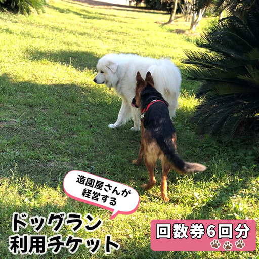 ドッグラン利用チケット 回数券6回分 / 愛犬 ペット 運動 カフェ 山口県 No.183