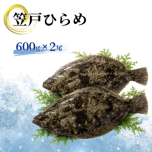 笠戸ひらめ / 魚 ヒラメ 鮃 ひらめ 鮮魚 刺身用 笠戸ひらめ 旬 魚介 下松 産地直送 新鮮 旨み 食感 海の幸 お取り寄せ ごちそう グルメ 家庭料理 下松市 山口県 特産品 No.003