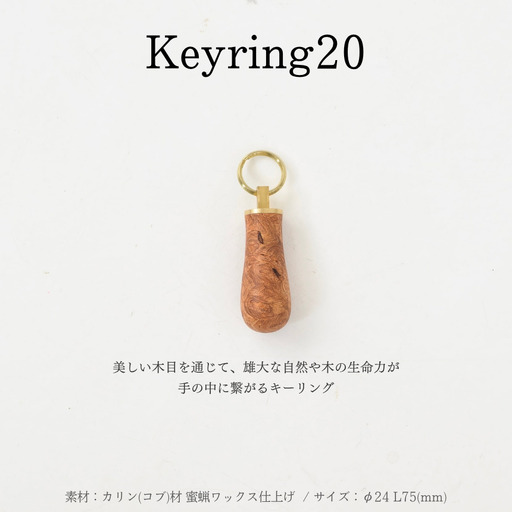 Keyring20