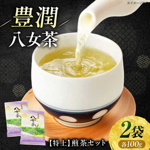 八女茶[特上]煎茶セット 100g×2袋 