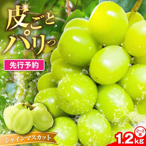 【先行予約】新鮮 シャインマスカット 1.2kg 2-3房 VEL001 シャインマスカット