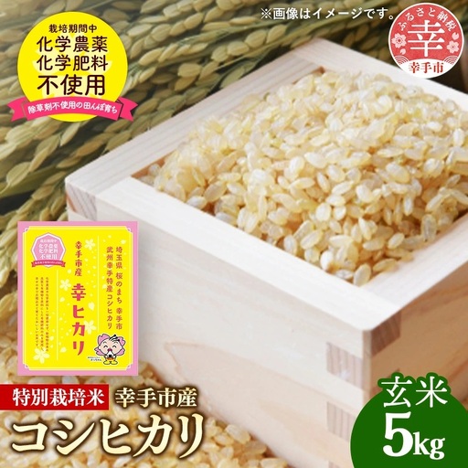 【令和7年産】無農薬・無化学肥料栽培 埼玉県幸手市産特別栽培コシヒカリ 「幸ヒカリ」玄米5kg -  米 特別栽培米 幸手市産