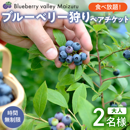 【6月～8月】 ブルーベリー狩り ペアチケット 【時間無制限・食べ放題】