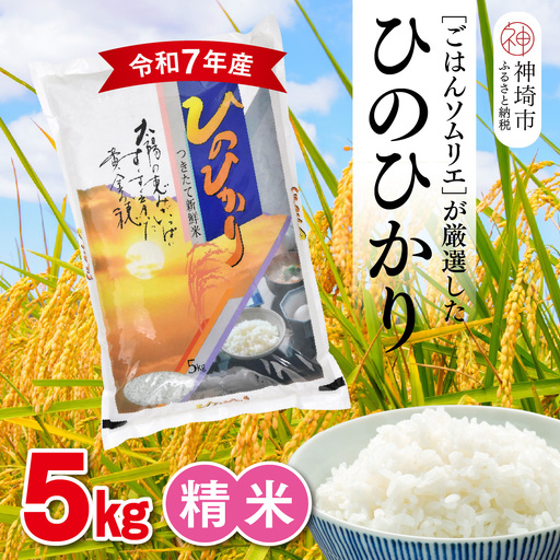[令和7年産]ごはんソムリエが厳選 白米 ひのひかり 5kg(H063163)