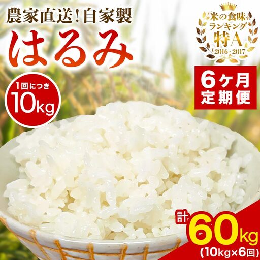 [定期便／6ヶ月連続 ]新米[令和8年産／10月下旬より順次発送] 伊勢原産 精米10kg(5kg×2袋) はるみ 農家直送！加藤さんちのうんめぇ！自家製米 [1107]