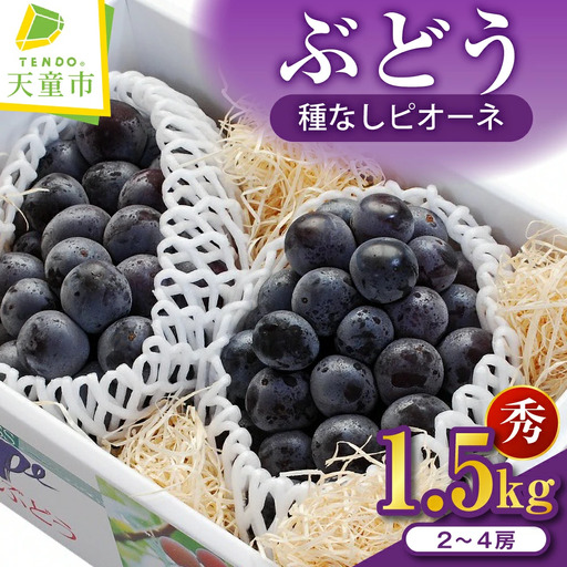 ぶどう 種なし ピオーネ 1.5kg フルーツ 果物 山形 ブドウ