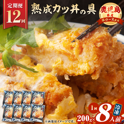【 全12回 定期便 】鹿児島県産 熟成 カツ丼 の 具（8食分） K258-T06_08b 肉 豚肉 惣菜 総菜 冷凍