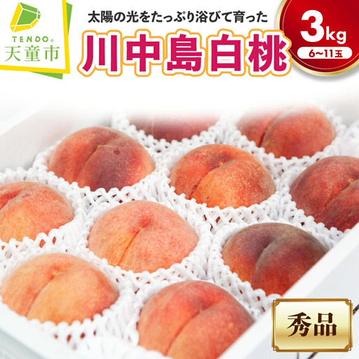 もも 大玉 川中島 白桃 約 3kg 山形 桃