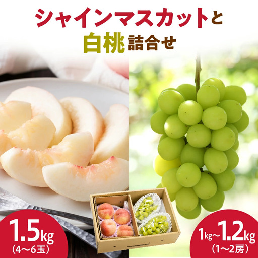 シャインマスカット と 白桃 詰合せ 約2.5kg ぶどう 桃