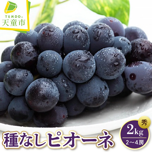 ぶどう 種なし ピオーネ 2kg フルーツ 果物 山形 ブドウ