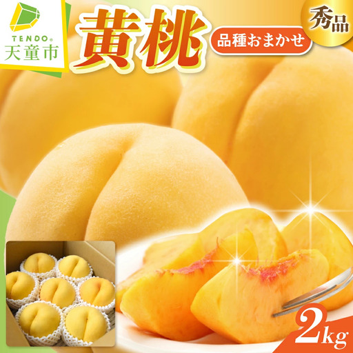 黄桃 ( 品種 おまかせ ) 2kg フルーツ 果物 山形
