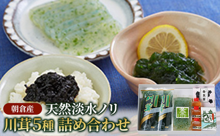 のり 海苔 珍味 川茸の詰め合わせ 5種 遠藤金川堂 淡水海苔 天然 高級天然淡水ノリ 加工食品 