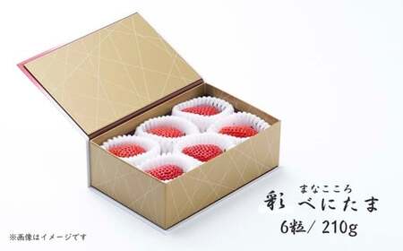 [先行予約]いちご べにたま ギフト 彩 6粒 210g | いちご