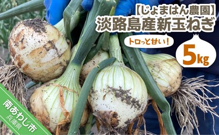 【新玉予約】トロっと甘い！！淡路島産新玉ねぎ 5㎏◆R9.3月上旬～5月中旬発送