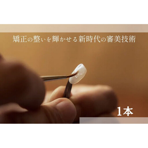 ブラックフィルム施術券(１本)