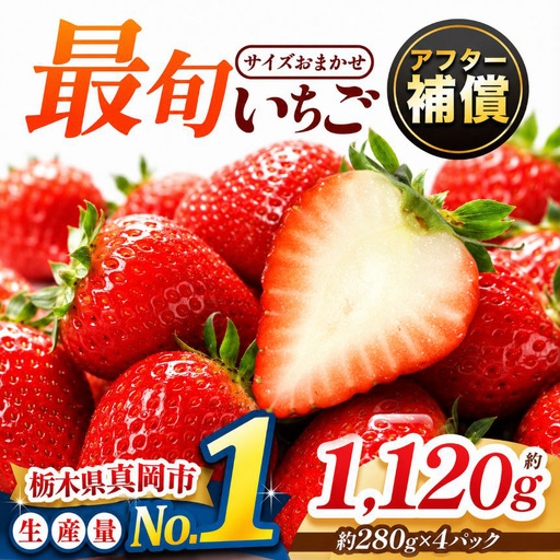 [2027年 先行予約受付中]大人気! 最旬とちあいか 約1120g 4パック いちご