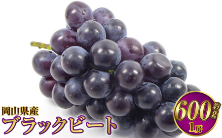 岡山県産 ブラックビート 約600g(1房)[2026年8月上旬〜9月上旬発送予定] ぶどう ブドウ 葡萄